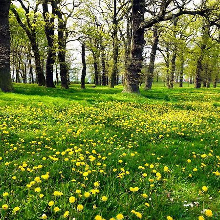 Haus Kulschewski Insel Poel Bagian luar foto