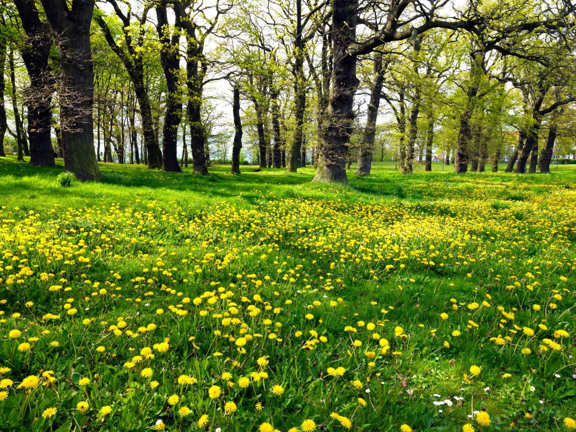 Haus Kulschewski Insel Poel Bagian luar foto