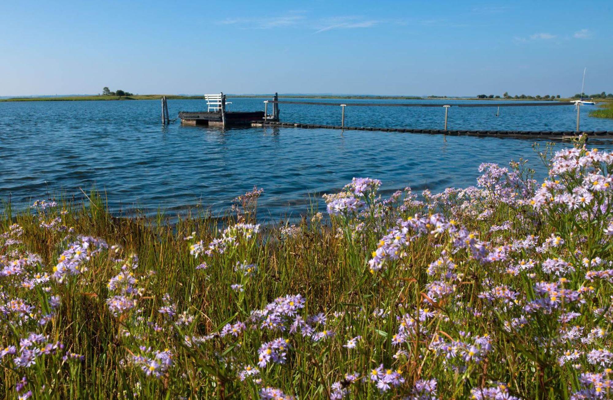 Haus Kulschewski Insel Poel Bagian luar foto
