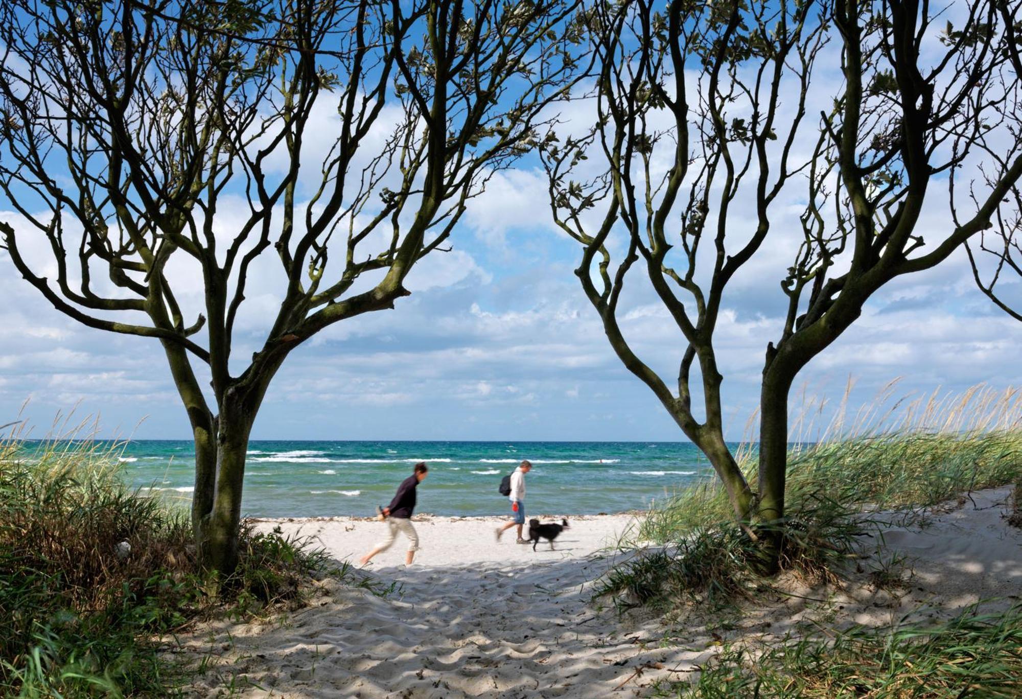 Haus Kulschewski Insel Poel Bagian luar foto