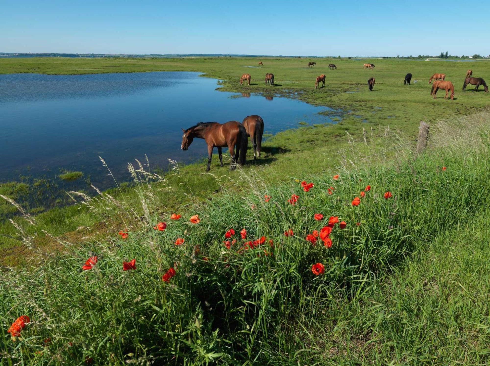 Haus Kulschewski Insel Poel Bagian luar foto